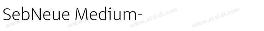 SebNeue Medium字体转换